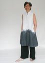 Ombre Sleeveless Dress
