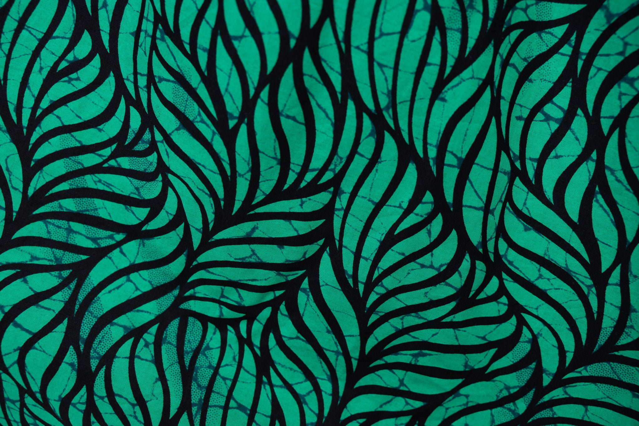 Spirulina Culotte