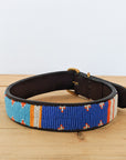 Fisi Dog Collar