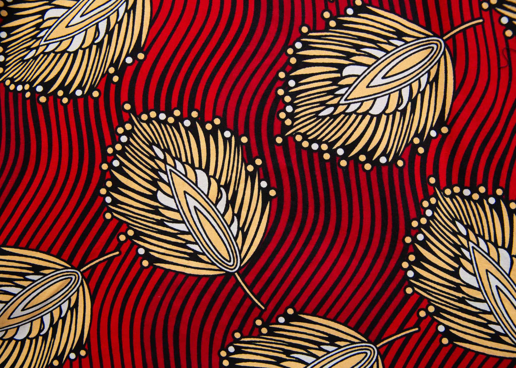 Close up display of red dress with brown feathers, fabric. 